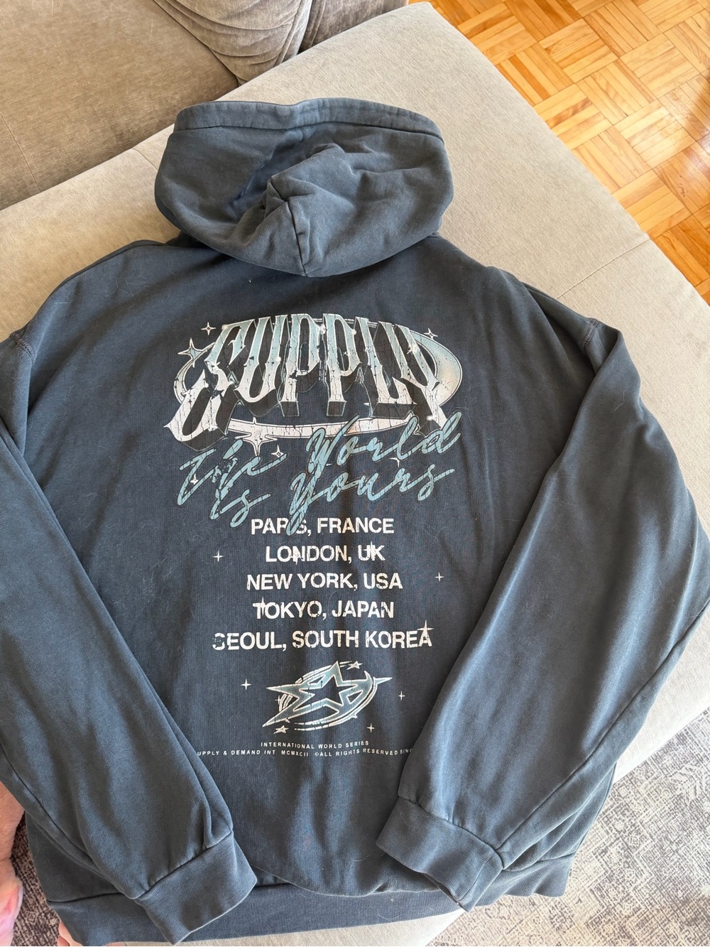 Supply and Demand brand  Charcoal Graphic Crewneck Hoodie -